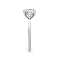 Sally Platinum Round Trilogy