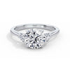 Sally Platinum Round Trilogy