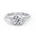 Sally Platinum Round Trilogy
