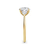 Sally 18k Yellow Gold Round Trilogy