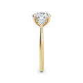 Sally 18k Yellow Gold Round Trilogy