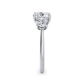 Veronica Platinum Cushion Trilogy