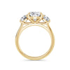 Veronica 18k Yellow Gold Oval Trilogy