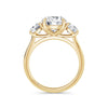 Veronica 18k Yellow Gold Round Trilogy