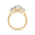 Veronica 18k Yellow Gold Round Trilogy