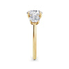 Veronica 18k Yellow Gold Round Trilogy