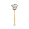 Veronica 18k Yellow Gold Round Trilogy