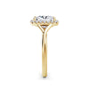 Vicky 18k Yellow Gold Elongated Cushion Halo