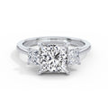 Vicky Platinum Princess Trilogy