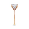 Vicky 18k Rose Gold Princess Trilogy