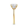 Vicky 18k Yellow Gold Princess Trilogy
