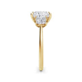 Vicky 18k Yellow Gold Princess Trilogy
