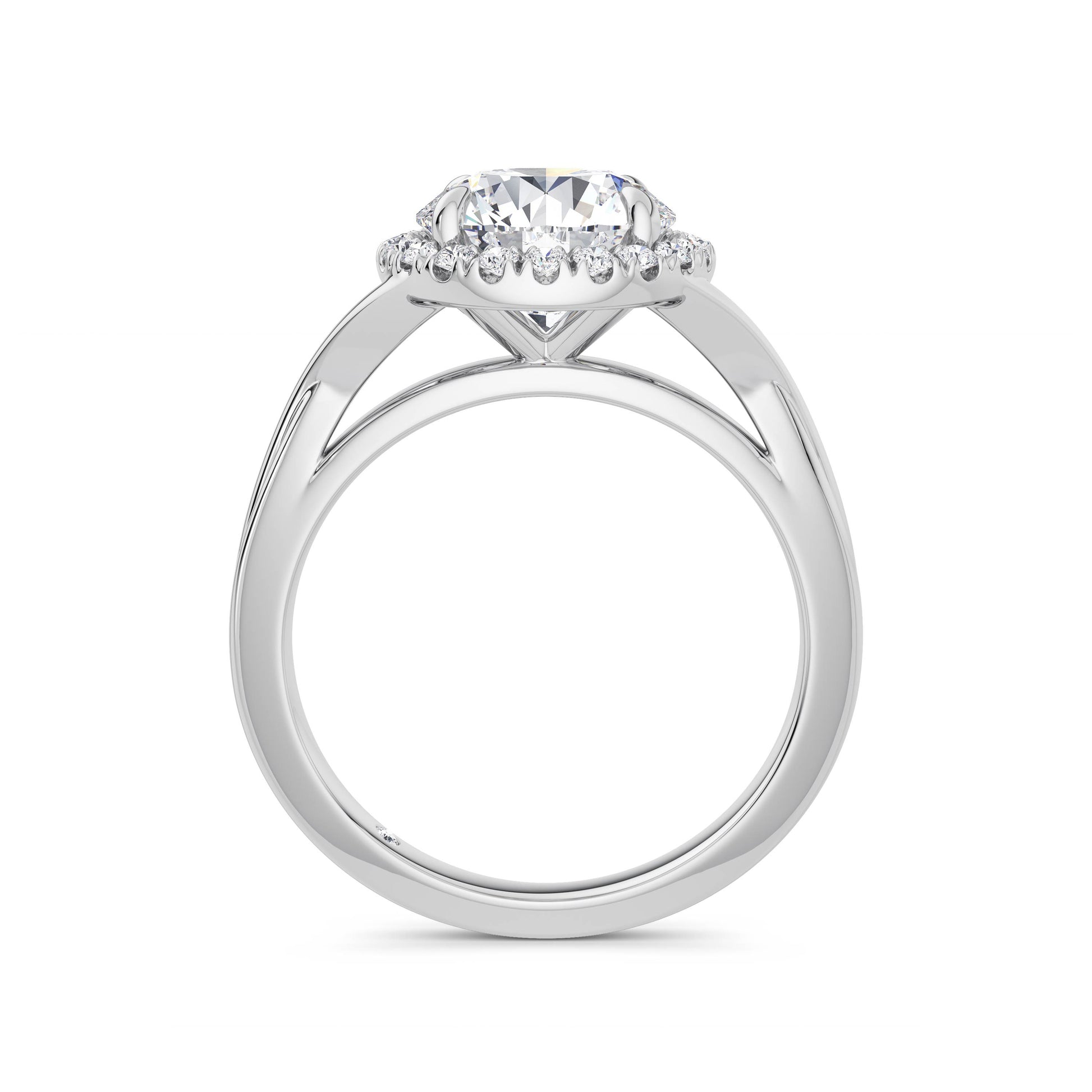 Vicky Platinum Round Halo
