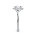 Vicky Platinum Round Halo