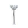 Wendy Platinum Radiant Trilogy