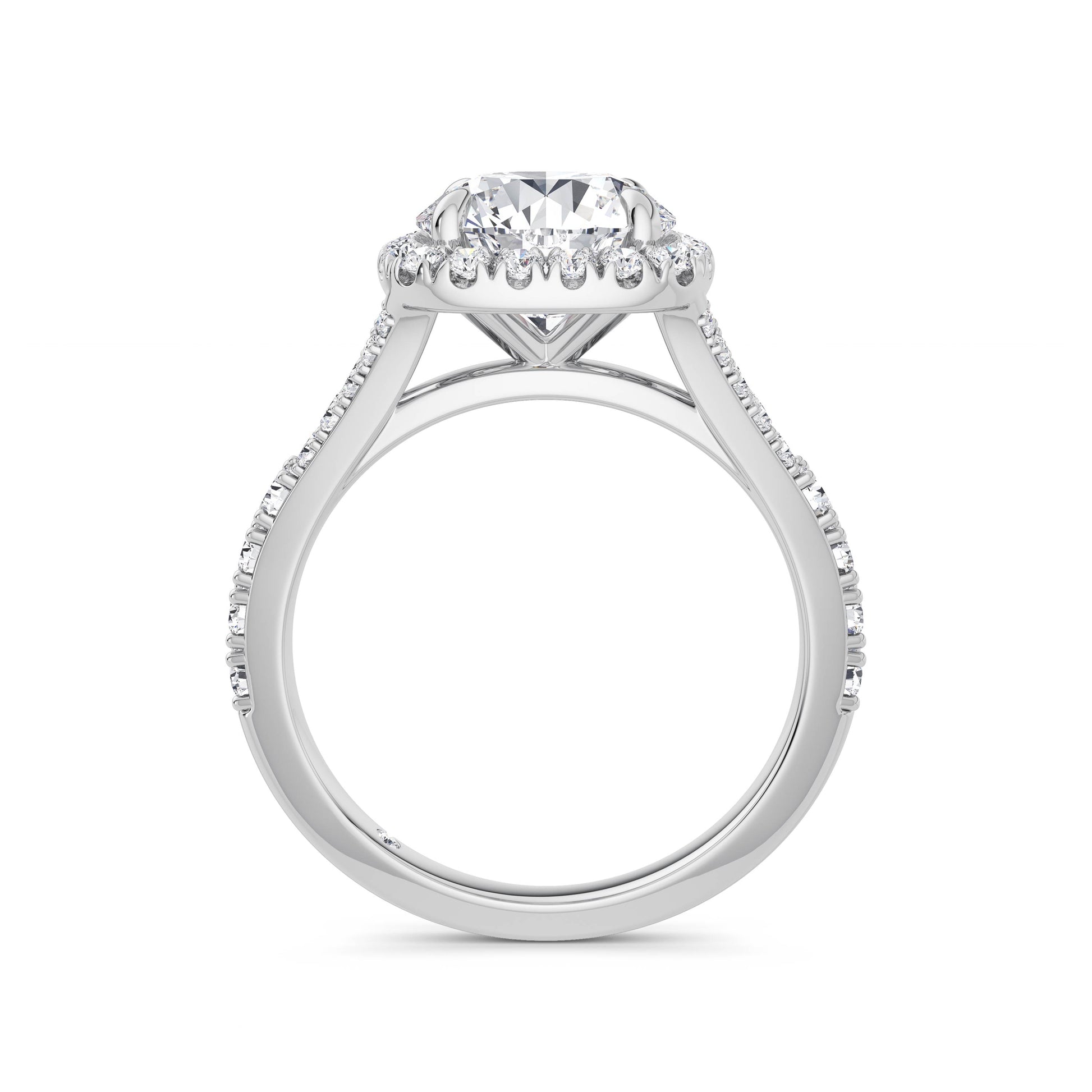 Wendy Platinum Round Halo