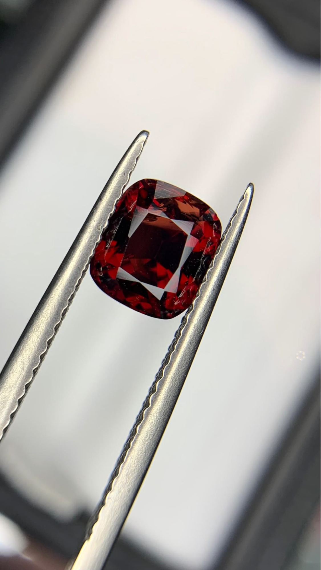 Garnet