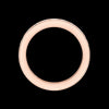 18K Rose Gold