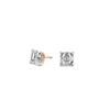 pose-1-DS-AC-RG-1.5.png