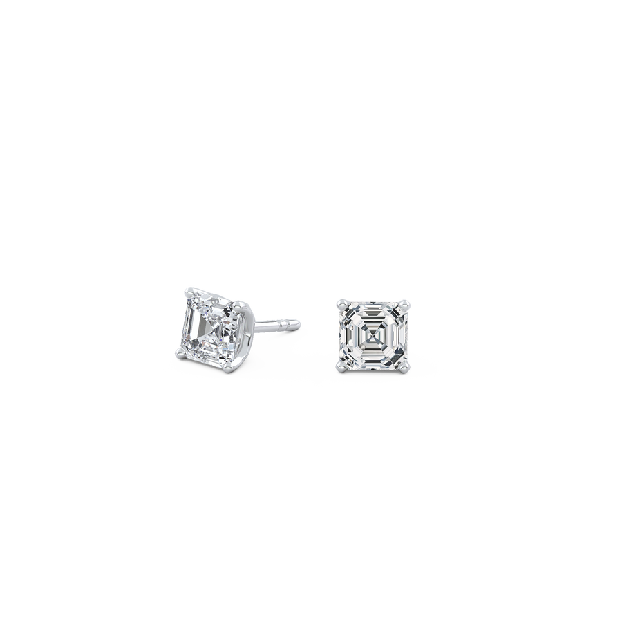 pose-1-DS-AC-WG-1.0.png