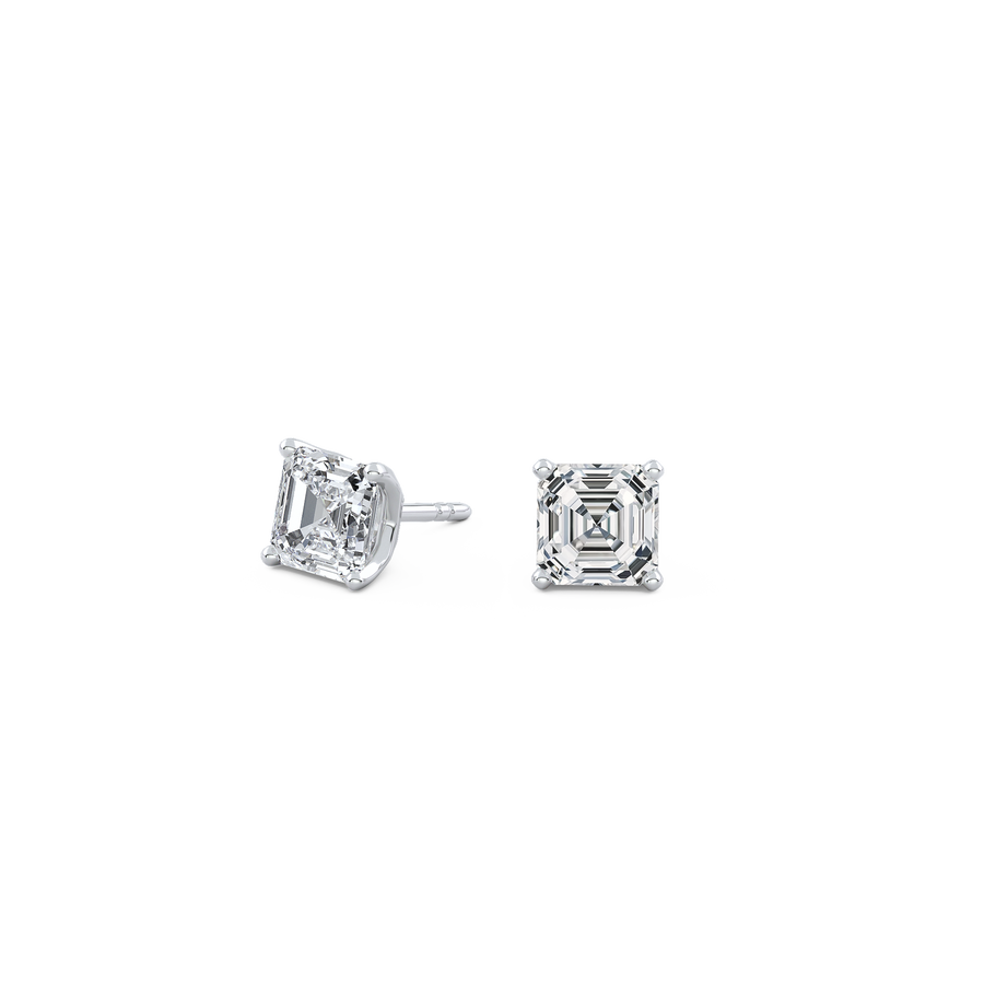 pose-1-DS-AC-WG-1.5.png