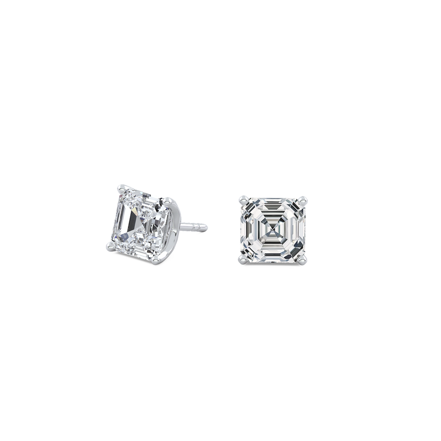 pose-1-DS-AC-WG-2.5.png