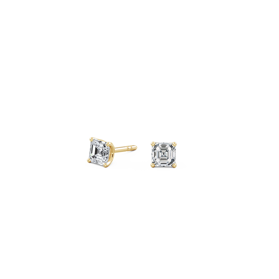 pose-1-DS-AC-YG-0.5.png