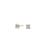 pose-1-DS-AC-YG-0.5.png