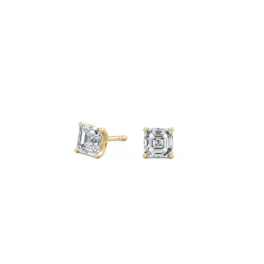 pose-1-DS-AC-YG-1.0.png