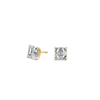 pose-1-DS-AC-YG-1.5.png