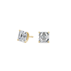 pose-1-DS-AC-YG-2.5.png
