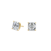 pose-1-DS-AC-YG-3.0.png