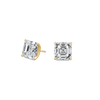 pose-1-DS-AC-YG-4.0.png