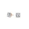 pose-1-DS-CU-RG-3.0.png