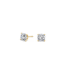 pose-1-DS-CU-YG-1.0.png