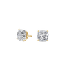 pose-1-DS-CU-YG-3.0.png