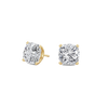 pose-1-DS-CU-YG-5.0.png