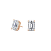 pose-1-DS-EM-RG-3.0.png