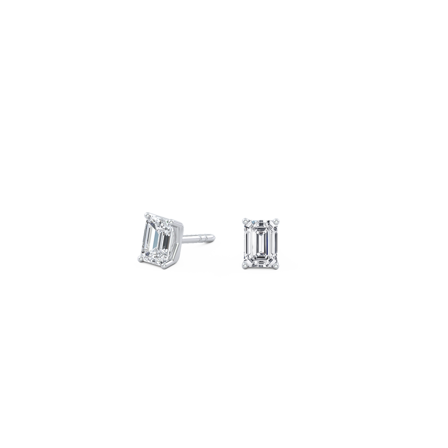 pose-1-DS-EM-WG-0.5.png