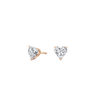 pose-1-DS-HT-RG-1.0.png