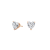 pose-1-DS-HT-RG-2.0.png