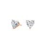 pose-1-DS-HT-RG-2.5.png