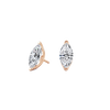 pose-1-DS-MQ-RG-2.0.png