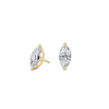 pose-1-DS-MQ-YG-1.5.png