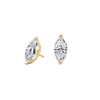pose-1-DS-MQ-YG-2.5.png
