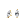 pose-1-DS-MQ-YG-3.0.png
