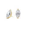 pose-1-DS-MQ-YG-4.0.png
