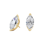 pose-1-DS-MQ-YG-5.0.png