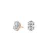 pose-1-DS-OV-RG-2.0.png