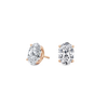 pose-1-DS-OV-RG-2.5.png
